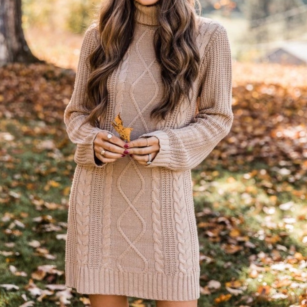Pink Lily | Turtleneck Sweater Dress